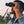 Field Issue 10X Waterproof Binoculars