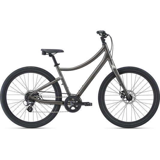 Adult Hybrid Bike Rental