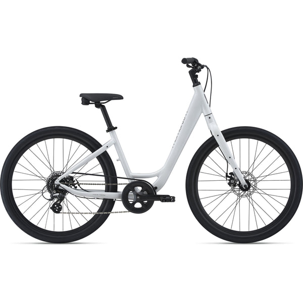 Adult Hybrid Bike Rental